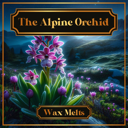 The Alpine Orchid Wax Melts